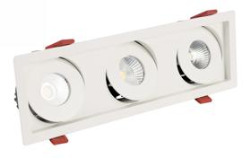 BIZZ 12-3 Recessed Ceiling Luminaires Dlux Multi-Head Recess Ceiling BIZZ 12-3 Recessed Ceiling Luminaires Dlux Multi-Head Recess Ceiling